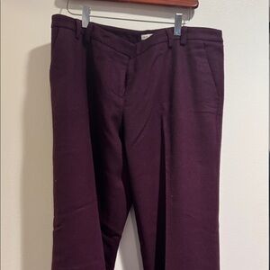 Gently worn women’s wool lined cuffed  pants by Walter inseam 29